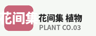 芒果视频
