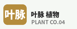 芒果视频